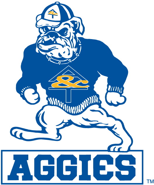 North Carolina A&T Aggies 1988-2005 Alternate Logo t shirts iron on transfers v2